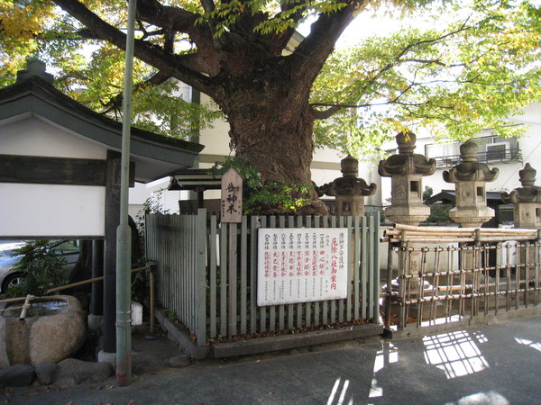 二宮神社（にのみやじんじゃ、神戸市）_d0287413_1425177.jpg