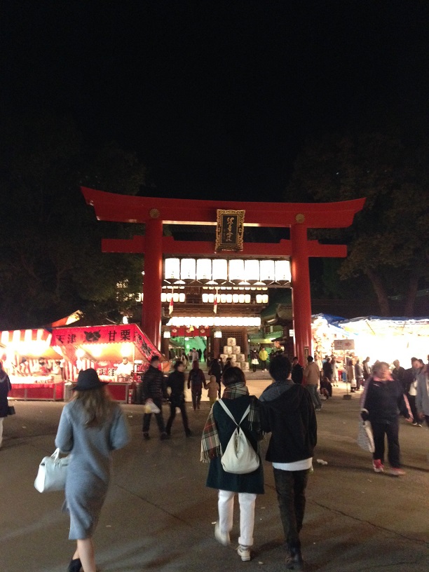 椿まつり & \"Americana\" 昨日に引き続き、、、_f0191324_9165532.jpg