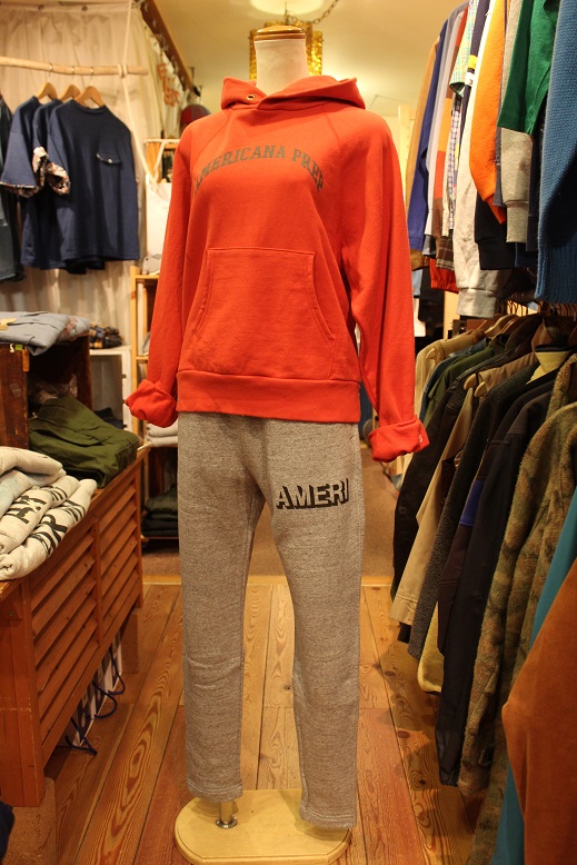 椿まつり & \"Americana\" 昨日に引き続き、、、_f0191324_9395842.jpg