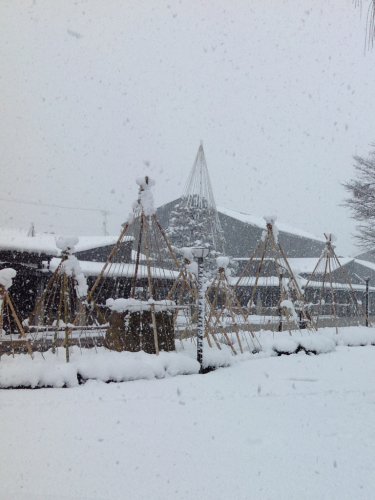 * 雪化粧☃*_e0118827_14541217.jpg