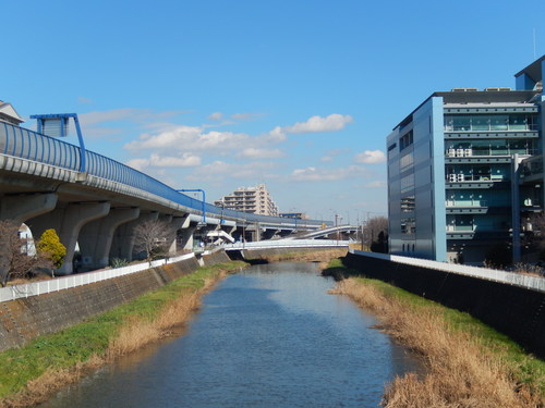 河津桜は満開..._b0137932_1257166.jpg