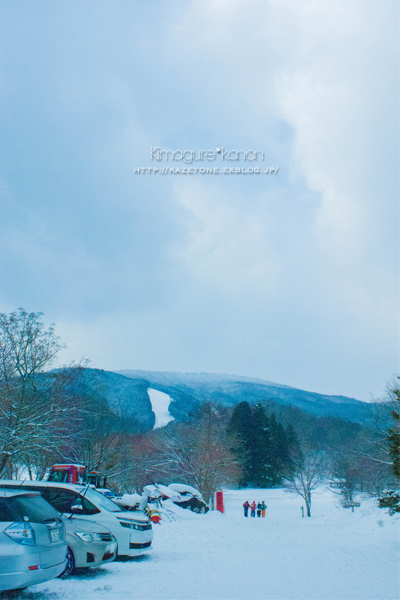 県森、Snow＊Diary②**儚い冬のあしあと_b0197639_2225363.jpg