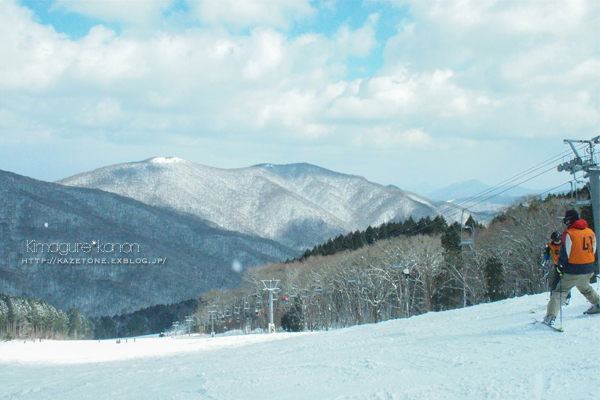 県森、Snow＊Diary②**儚い冬のあしあと_b0197639_22463245.jpg