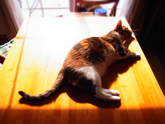 a0305046_08342010.jpg