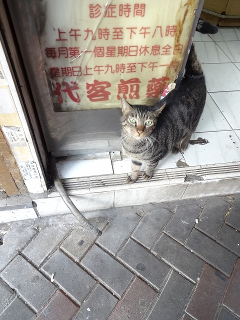 添好運點心專門店 深水埗 _b0248150_19543781.jpg