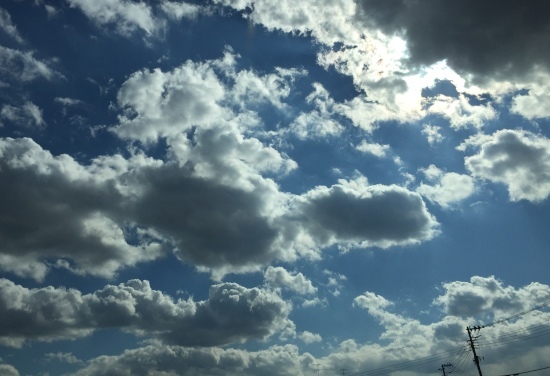 b0181457_14124455.jpeg