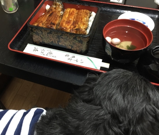 b0181457_14133847.jpeg