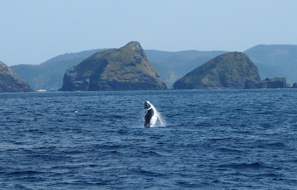 f0054859_1255670.jpg