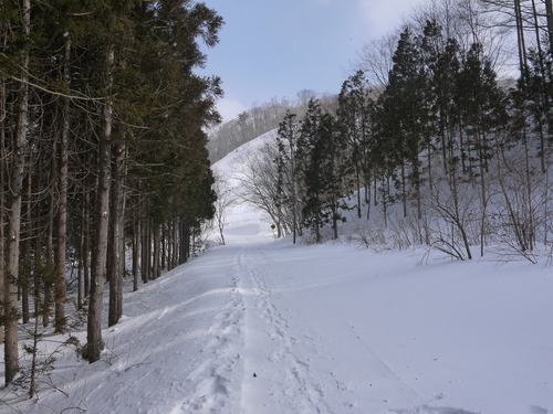 b0063468_16105011.jpg