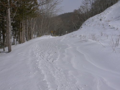 b0063468_16125974.jpg