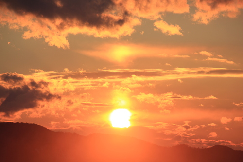 はい!夕子です♪_a0200771_22203419.jpg