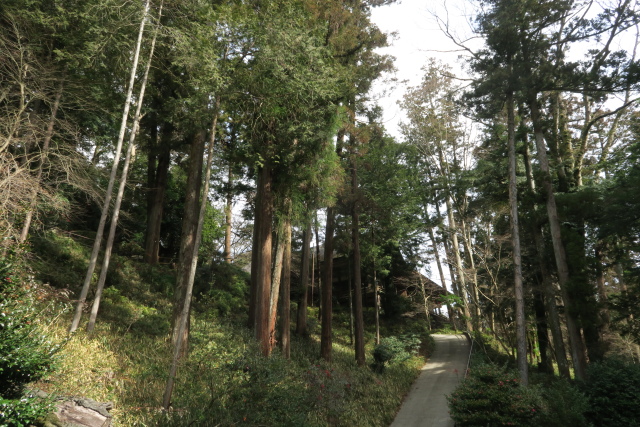 石山寺　無憂園にて_b0055171_23225049.jpg