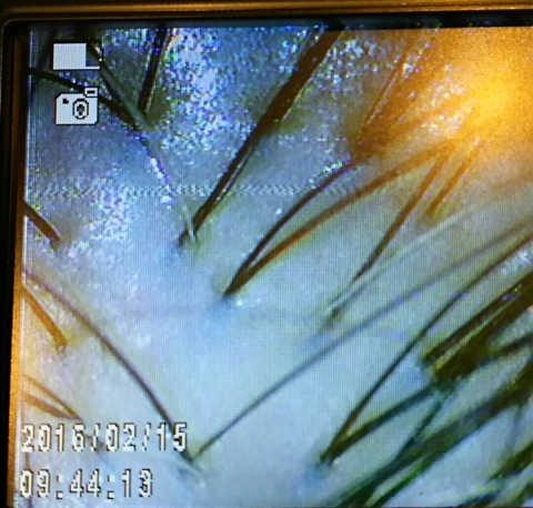 寒かったけど気持ちは熱い1日・・・_f0152875_01310179.jpg