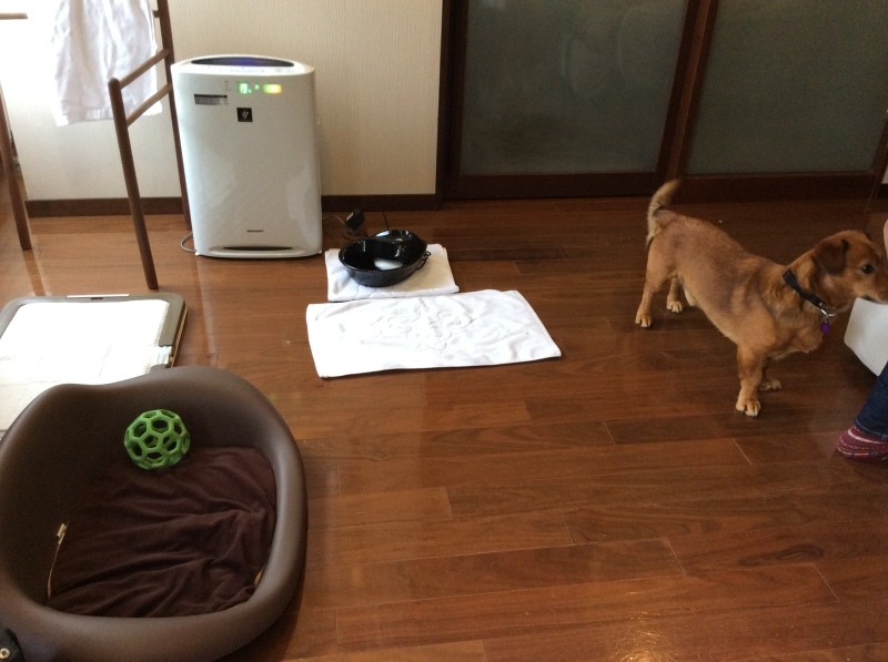 b0220002_22421903.jpeg