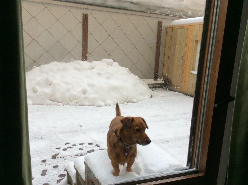 b0220002_22425486.jpeg