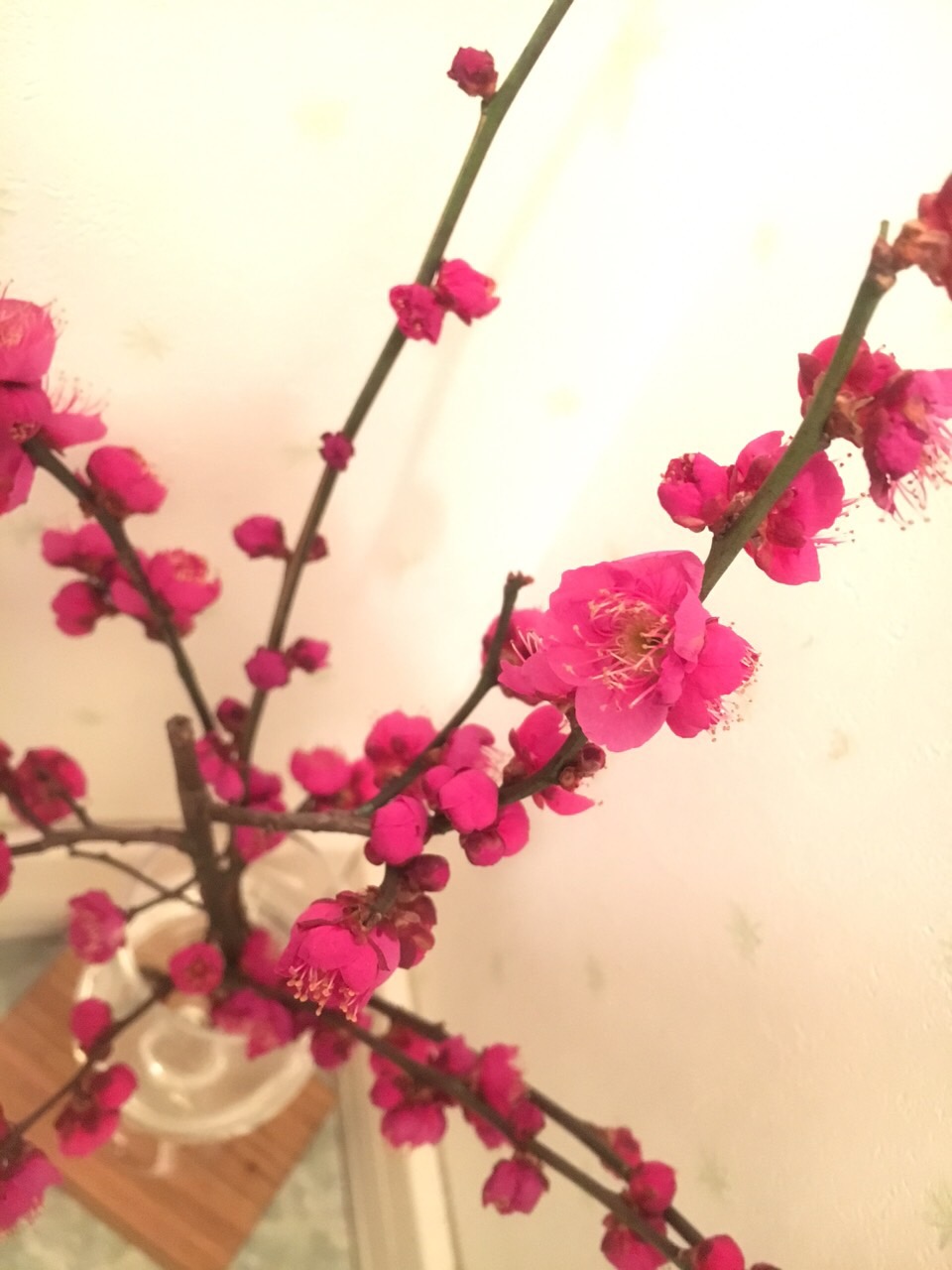 京都でランチ_a0115906_1642020.jpg