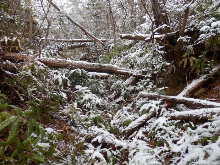 f0219710_13145736.jpg