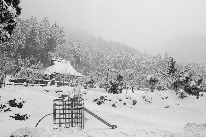 雪を求めて北へ!!!@美山 茅葺きの里・其の三_f0032011_19312328.jpg