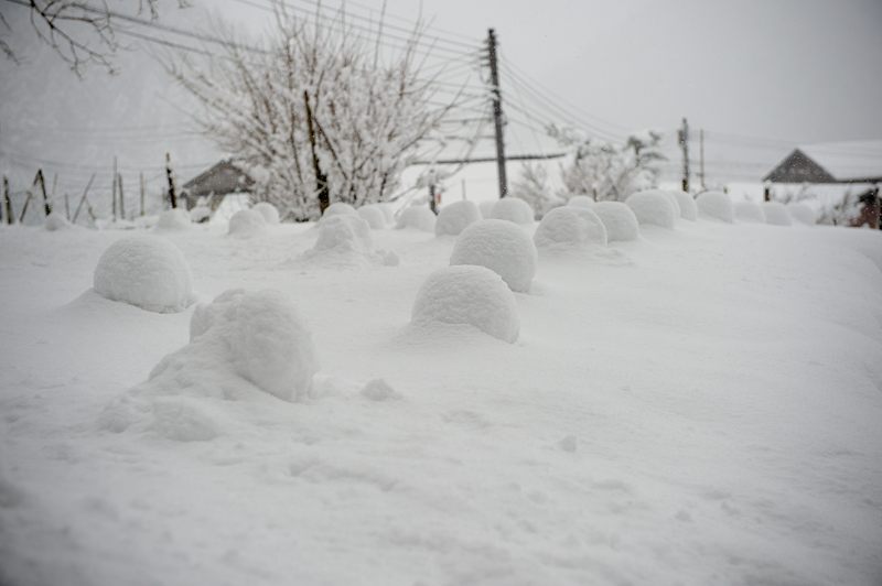 雪を求めて北へ!!!＠美山　茅葺きの里･其の三_f0032011_19313217.jpg