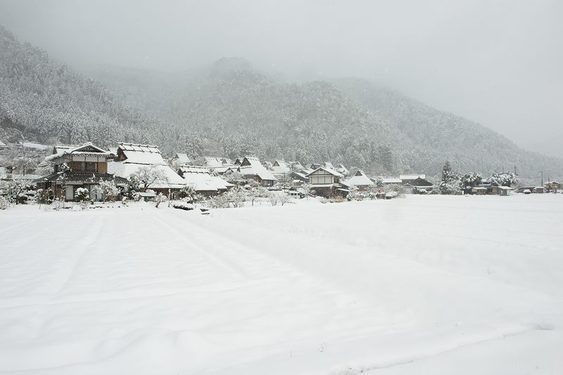 雪を求めて北へ!!!@美山 茅葺きの里・其の三_f0032011_19331461.jpg
