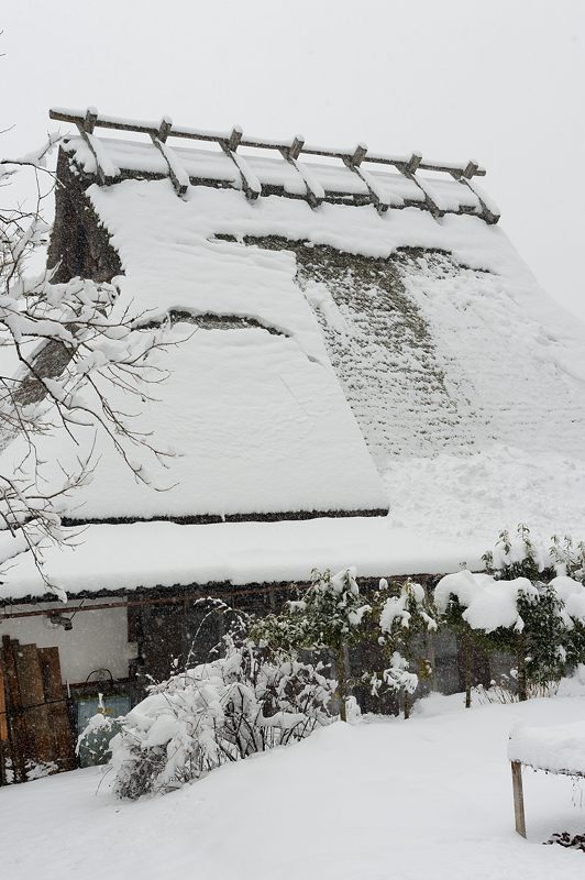 雪を求めて北へ!!!@美山 茅葺きの里・其の三_f0032011_19332391.jpg