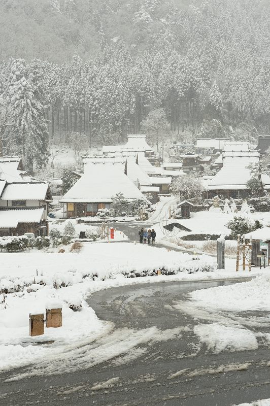雪を求めて北へ!!!@美山 茅葺きの里・其の三_f0032011_19342223.jpg