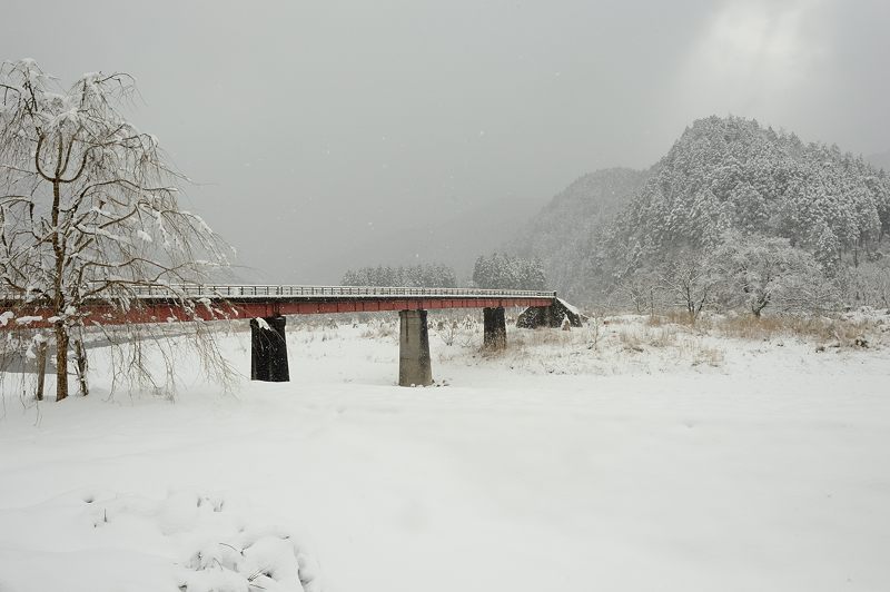 雪を求めて北へ!!!＠美山　茅葺きの里･其の三_f0032011_19343379.jpg