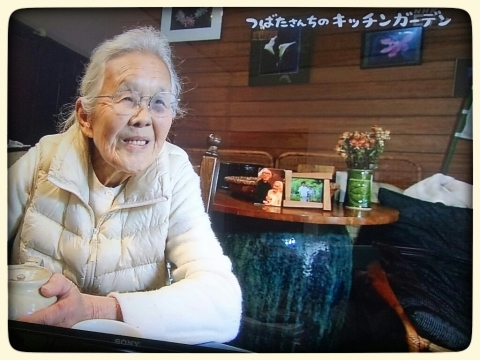 つばたさん 花図鑑 つばたさん 花図鑑