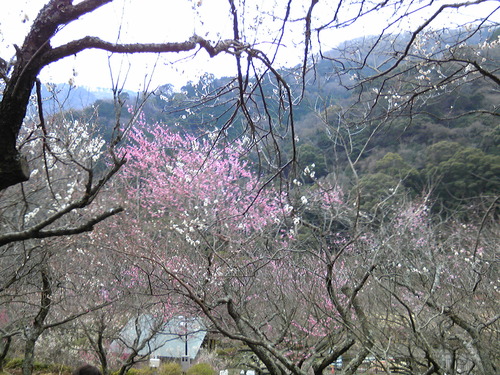 b0285619_21431532.jpg