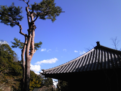 b0285619_21524781.jpg