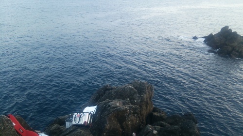 勝浦は_a0093423_08280519.jpg