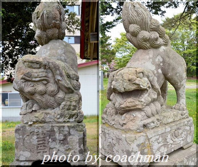 「森町稲荷神社」2 狛犬（森町）_a0315942_22140759.jpg