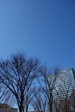 お義父さんと呼ばせて「目撃!長男の素顔は絶世の美女?浮気騒動で家族から絶縁!」_e0080345_73325100.jpg