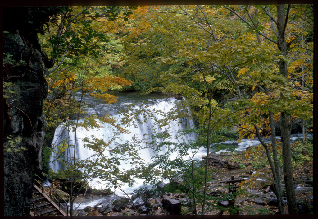 b0087456_12552472.jpg