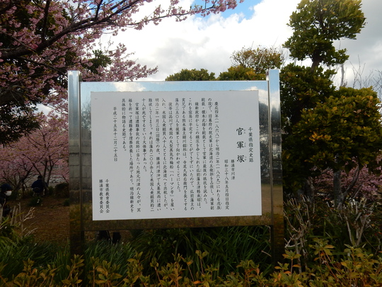 ’１６、２、１７（水）官軍塚の河津桜を見てきたＹＯ！_f0060461_835991.jpg