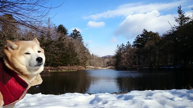 b0274270_11192991.jpg