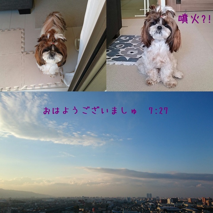c0363378_14344382.jpg