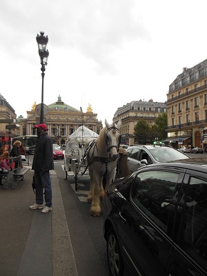 PARIS_f0215580_10131220.jpg