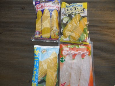 種まきシーズン到来_c0332682_13054351.jpg