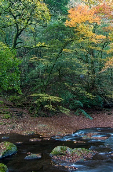 e0176993_10100273.jpg
