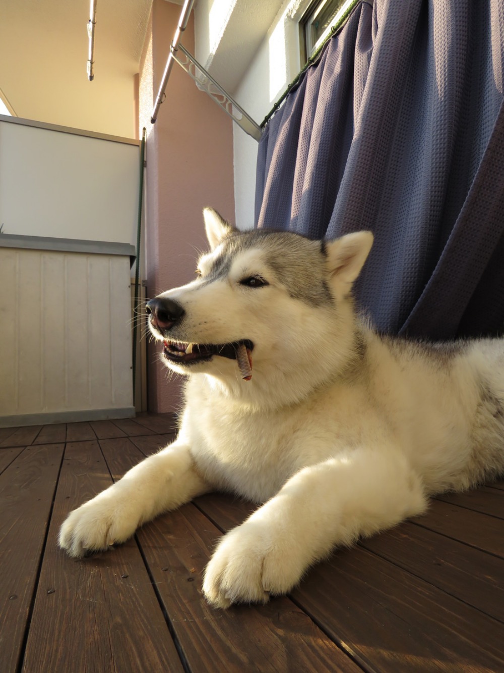 空を見よ! (^o^)_c0049299_22324049.jpg