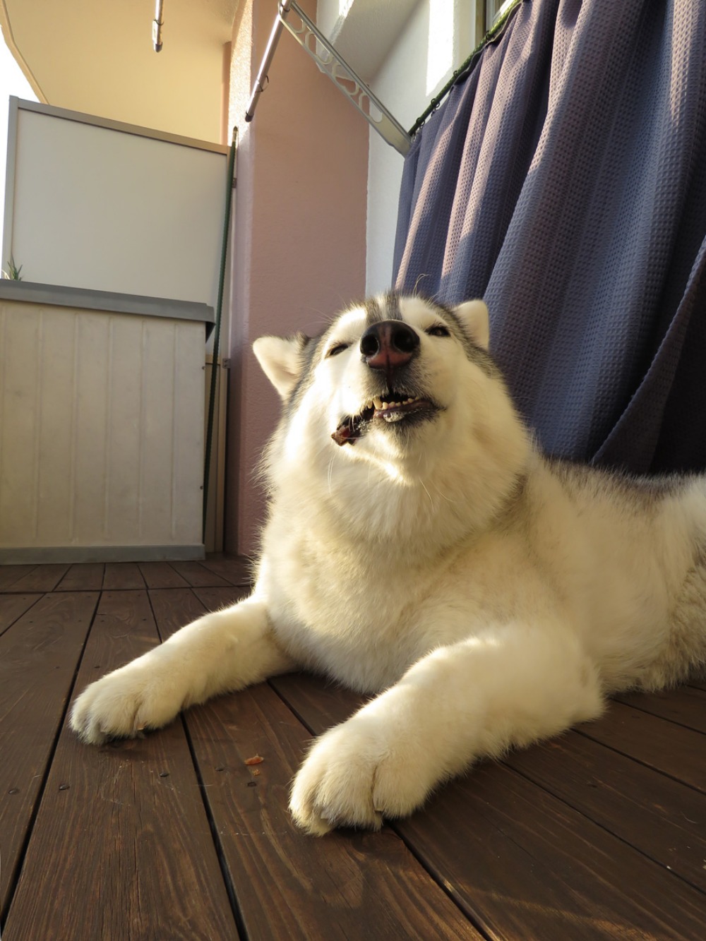 空を見よ! (^o^)_c0049299_2233285.jpg