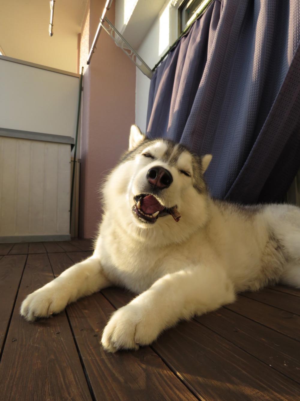 空を見よ! (^o^)_c0049299_22342073.jpg