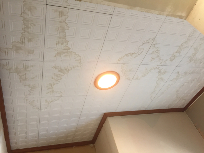 さてさて!_b0176010_16105721.jpg