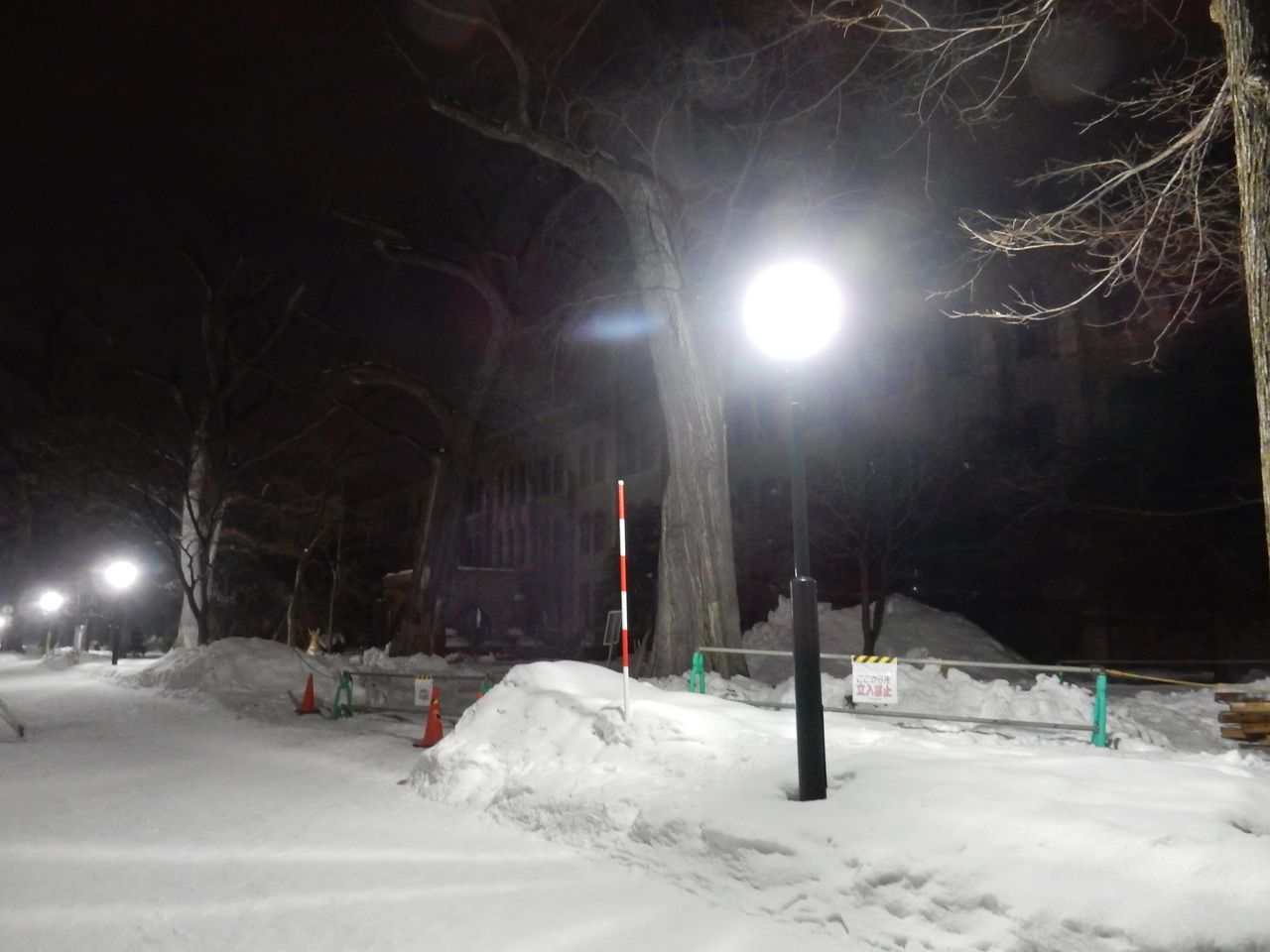 c0025115_22464891.jpg