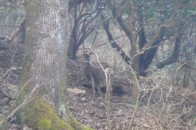 洞が岳と周辺_f0193521_20214367.jpg