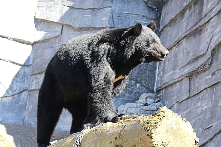f0224624_2152469.jpg