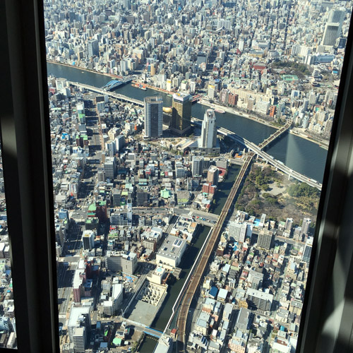 スカイツリーへ。_a0026127_1718354.jpg