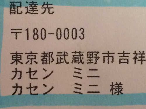 「カフェ・ミニ」と言い間違えられる事はあったのですが…。_f0327534_14471904.jpg