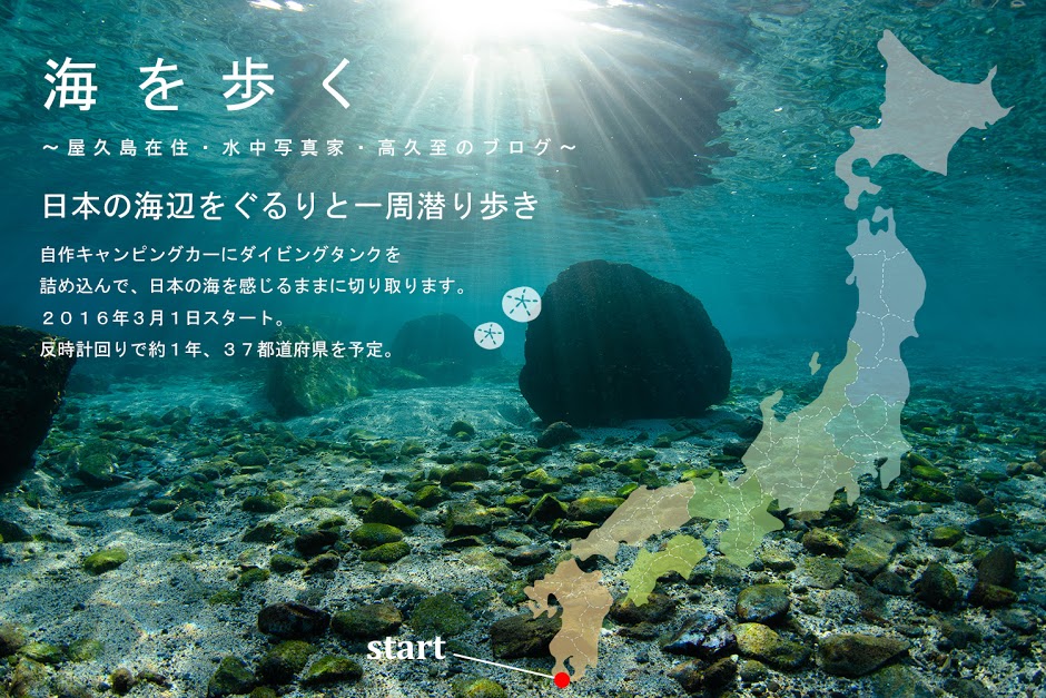 日本の海辺の海辺をぐるり一周潜り歩き_b0186442_1471466.jpg